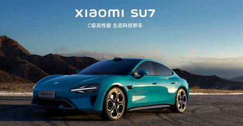 小米价格多少汽车